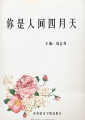 深入了解 大象电脑网页版
